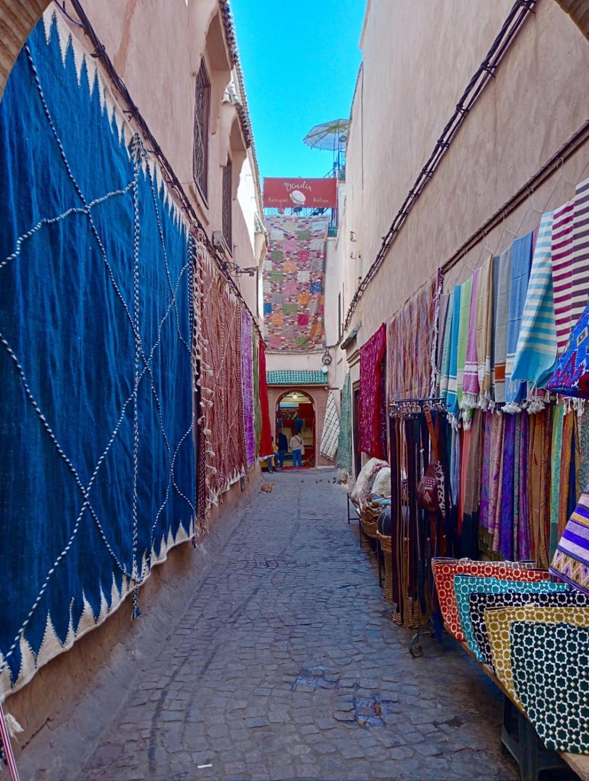Riad Les Gazelles D'Orient Marrakech マラケシュ エクステリア 写真